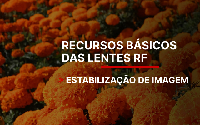 Estabilização de imagem