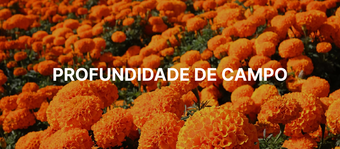 Profundidade de campo