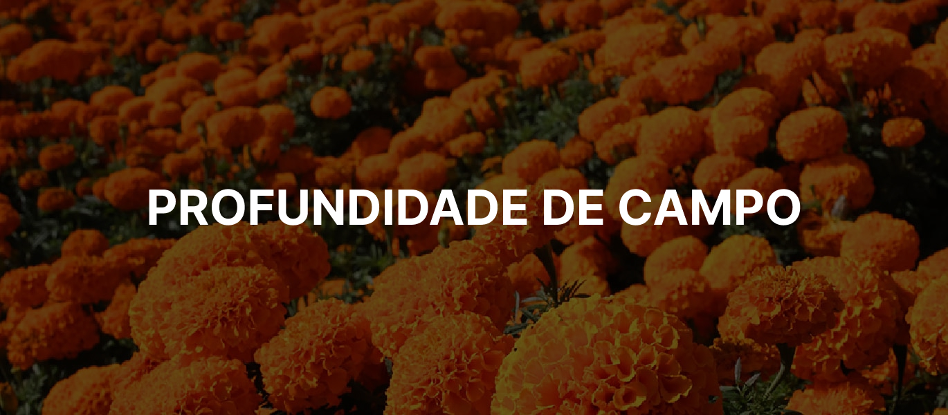 Profundidade de campo